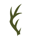 Left Antler