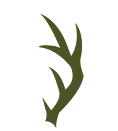 Right Antler